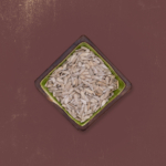 مغز تخمه آفتابگردان