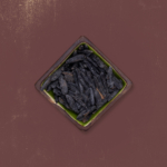 تخمه آفتابگردان شور